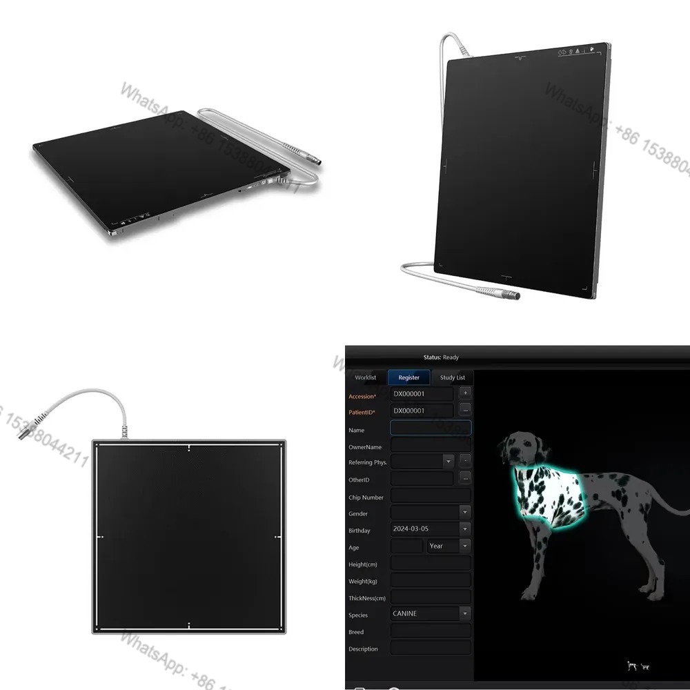 Горячая распродажа 2026 года:  – обзор и цена X Tech Accessories